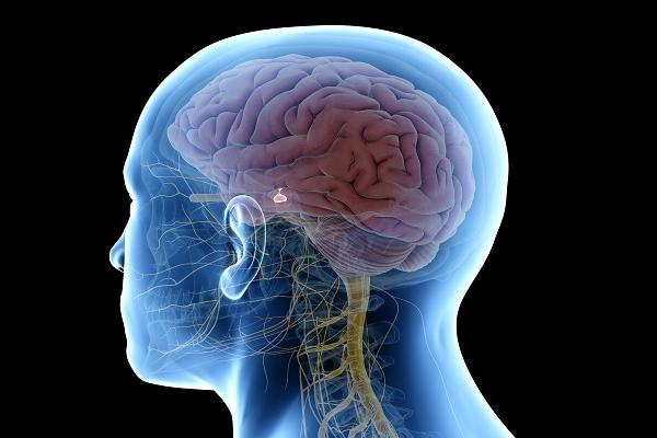 What is the Success Rate of Pituitary Tumor Surgery in India?