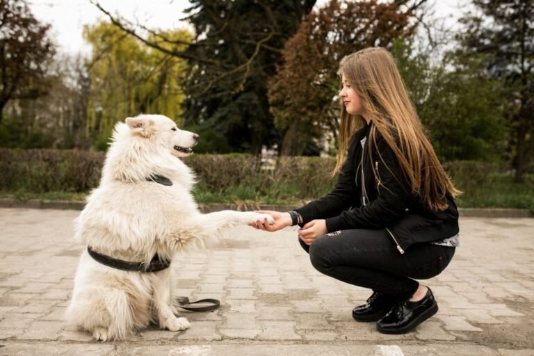 Why Your Dog’s Movement Changes With Age & What You Can Do About It